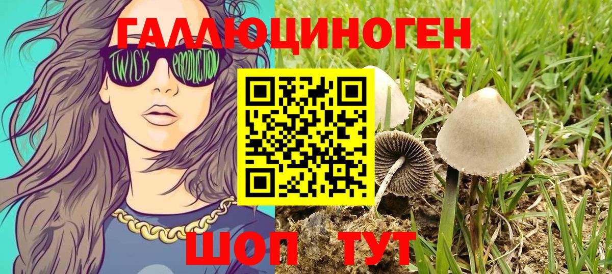 Псилоцибиновые грибы Magic Shrooms  Вход с VPN  Кумертау 